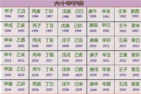 2012年生肖五行|2012年是属什么生肖 2012年出生属什么